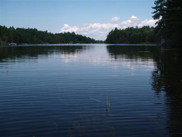 Christopher Greaves CrookedBay_GEDC2144.JPG