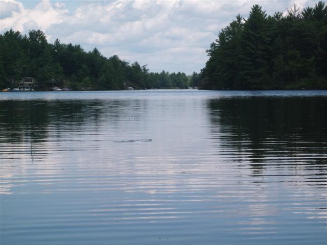 Christopher Greaves CrookedBay_GEDC2145.JPG