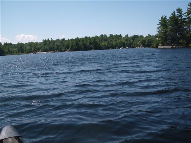 Christopher Greaves CrookedBay_GEDC2163.JPG