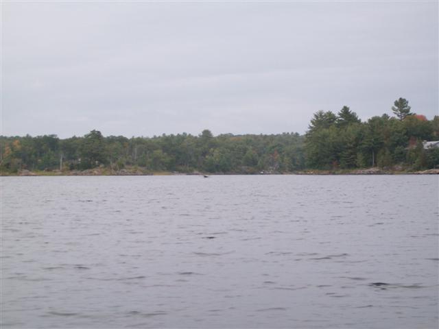 Christopher Greaves HoneyHarbor_GEDC0588.JPG