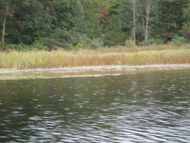 Christopher Greaves HoneyHarbor_GEDC0590.JPG