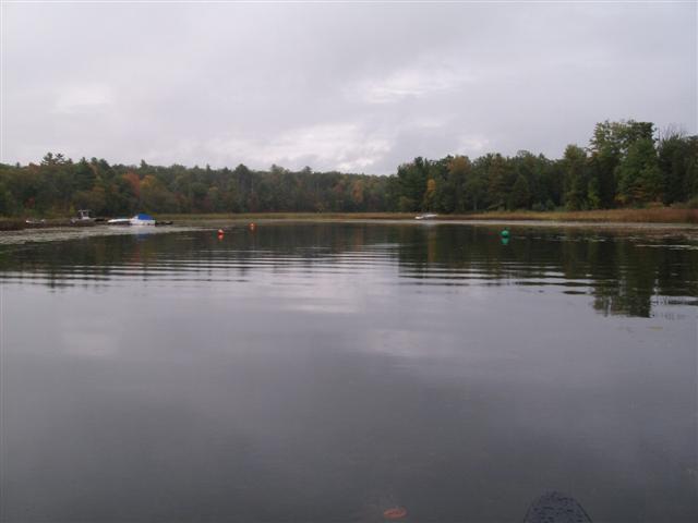 Christopher Greaves HoneyHarbor_GEDC0603.JPG