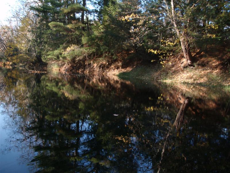 Christopher Greaves RIVERLANE_GEDC2291.JPG