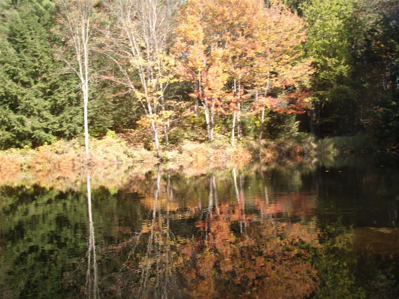 Christopher Greaves RIVERLANE_GEDC2296.JPG