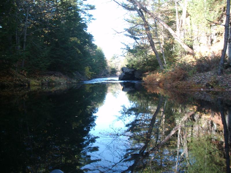 Christopher Greaves RIVERLANE_GEDC2297.JPG
