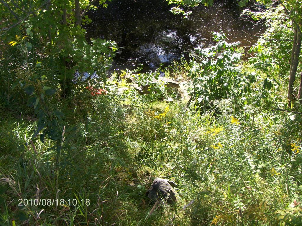Christopher Greaves SparrowLakeDrive_HPIM2709.JPG