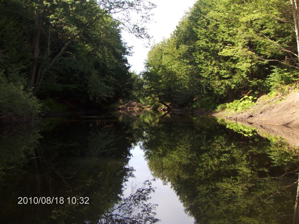 Christopher Greaves SparrowLakeDrive_HPIM2714.JPG
