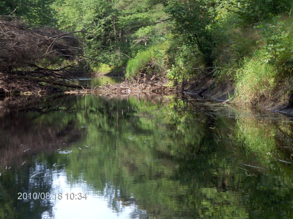 Christopher Greaves SparrowLakeDrive_HPIM2715.JPG