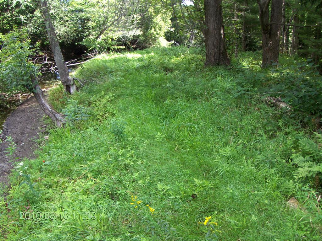 Christopher Greaves SparrowLakeDrive_HPIM2727.JPG