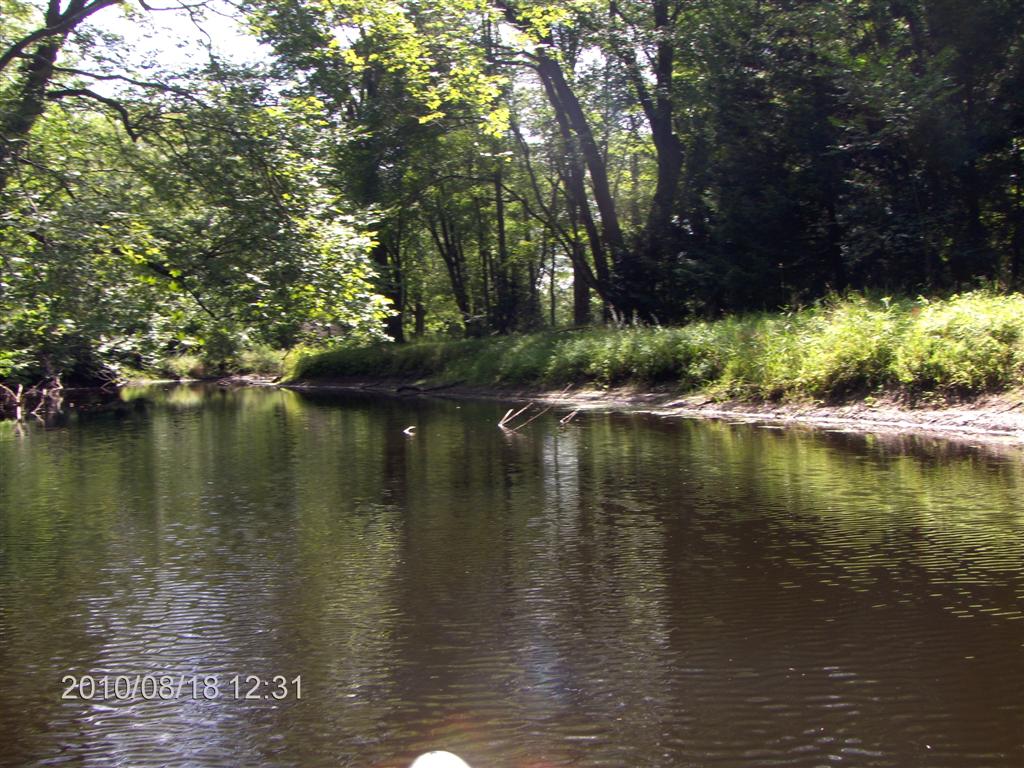 Christopher Greaves SparrowLakeDrive_HPIM2731.JPG