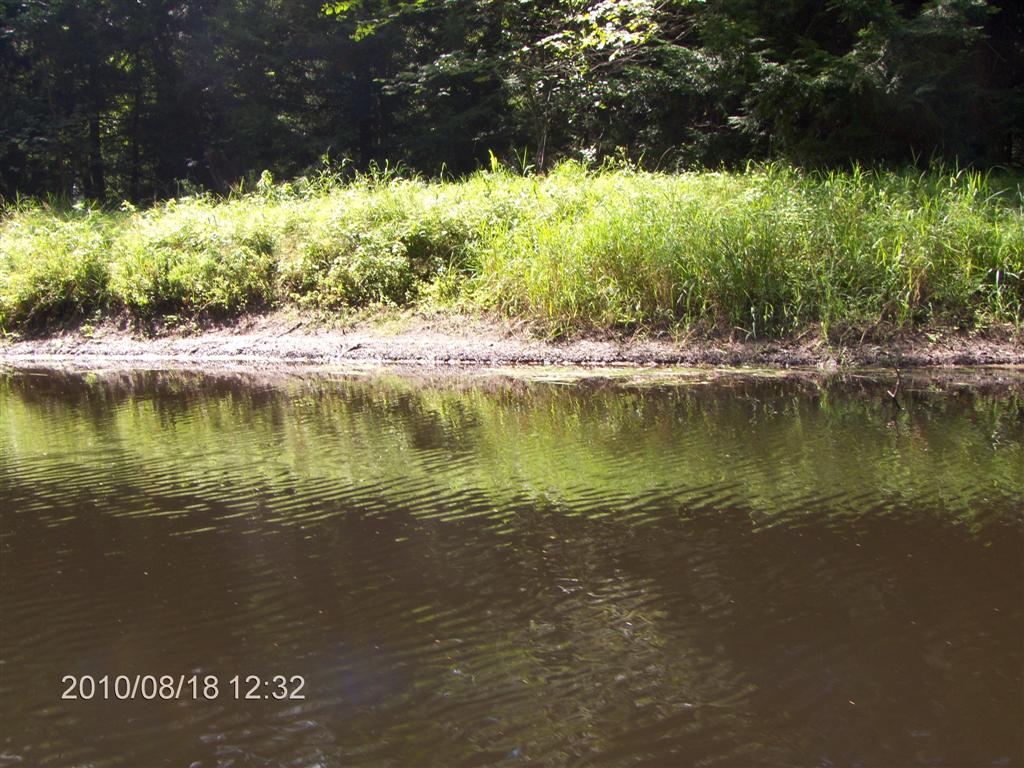 Christopher Greaves SparrowLakeDrive_HPIM2732.JPG