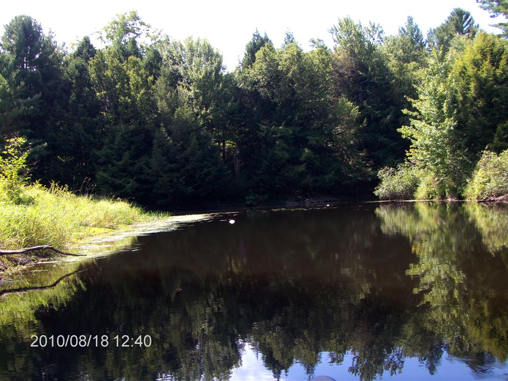 Christopher Greaves SparrowLakeDrive_HPIM2738.JPG