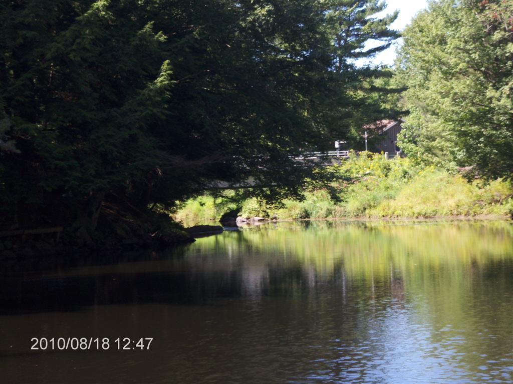 Christopher Greaves SparrowLakeDrive_HPIM2746.JPG