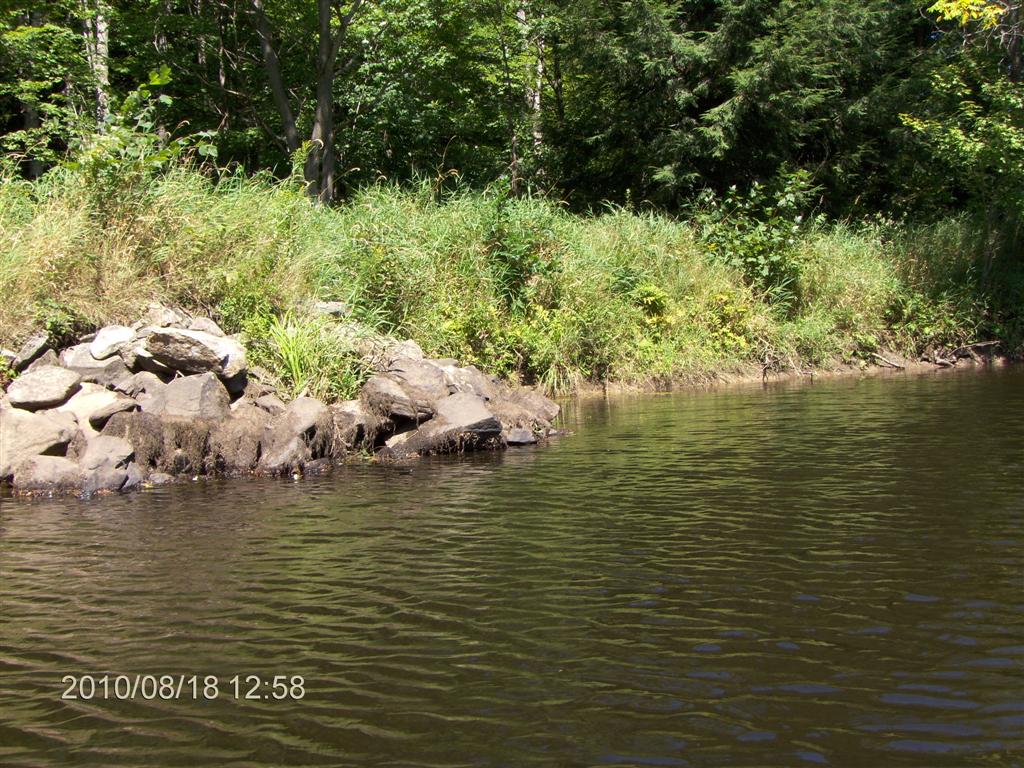 Christopher Greaves SparrowLakeDrive_HPIM2756.JPG