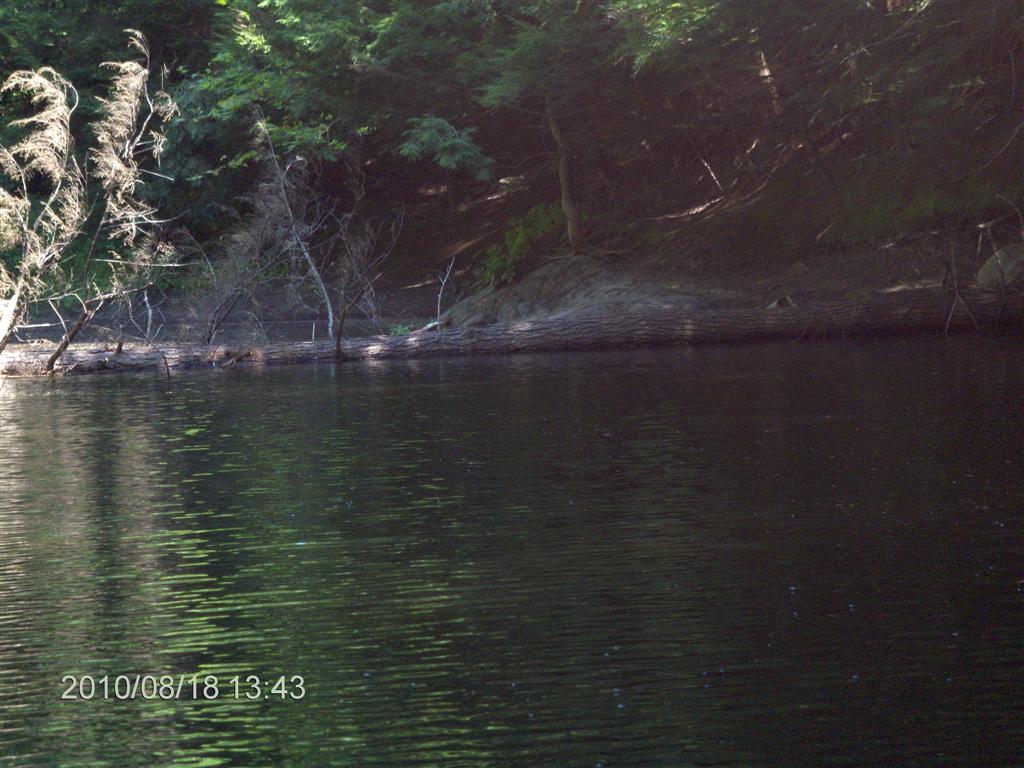 Christopher Greaves SparrowLakeDrive_HPIM2762.JPG