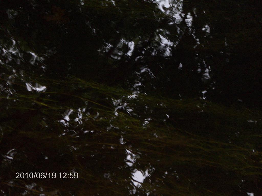 Christopher Greaves HPIM2323.JPG