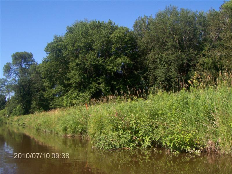 Christopher Greaves MinesingSwamp_HPIM2431.JPG
