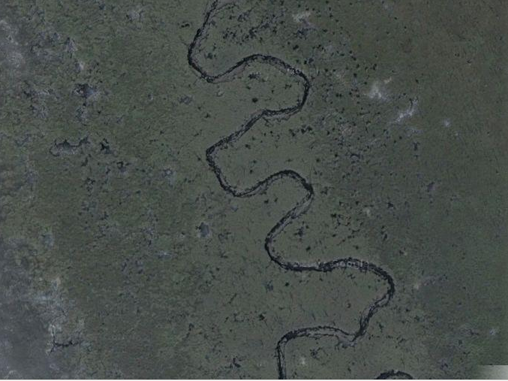 Christopher Greaves MinesingWetlands_002.png
