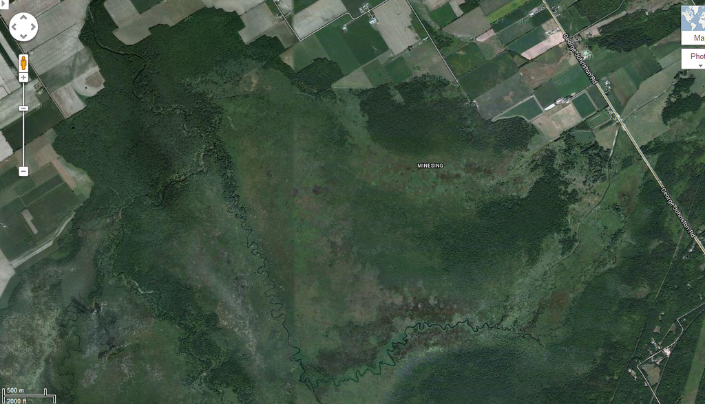 Christopher Greaves MinesingWetlands_004.png