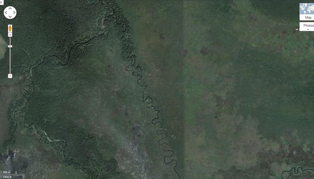 Christopher Greaves MinesingWetlands_005.png