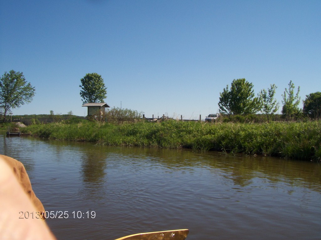 Christopher Greaves MinesingWetlands_HPIM5729.JPG