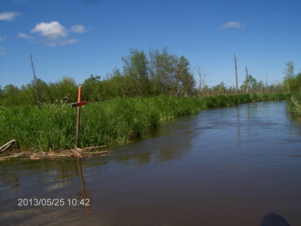 Christopher Greaves MinesingWetlands_HPIM5730.JPG