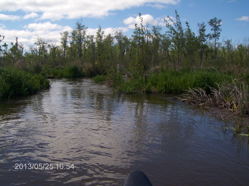 Christopher Greaves MinesingWetlands_HPIM5732.JPG
