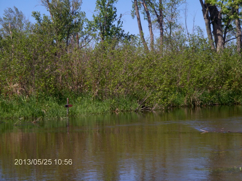 Christopher Greaves MinesingWetlands_HPIM5734.JPG