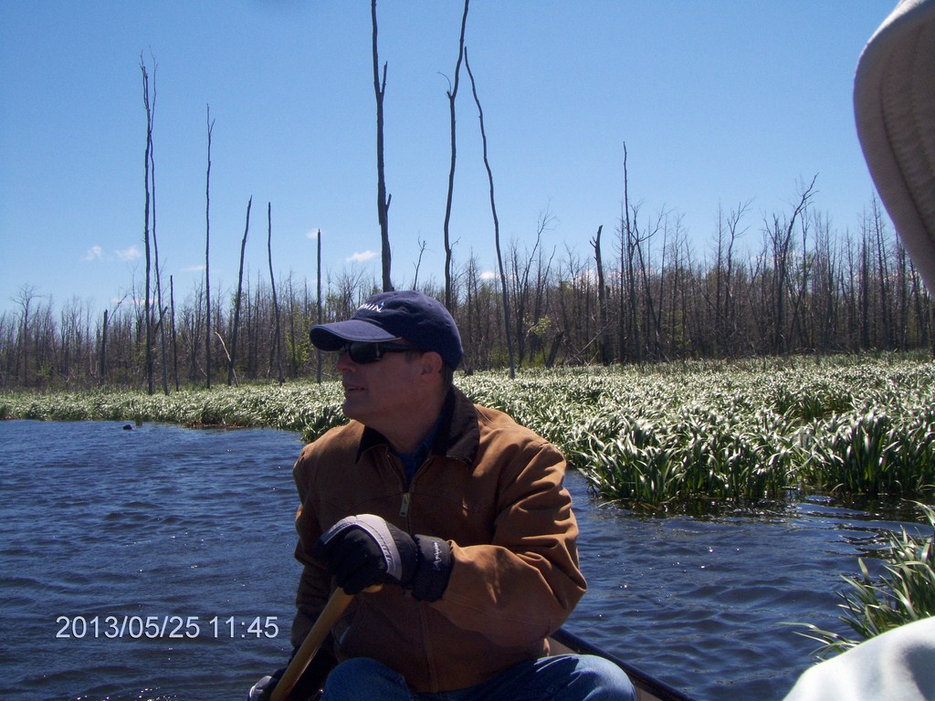 Christopher Greaves MinesingWetlands_HPIM5744.JPG