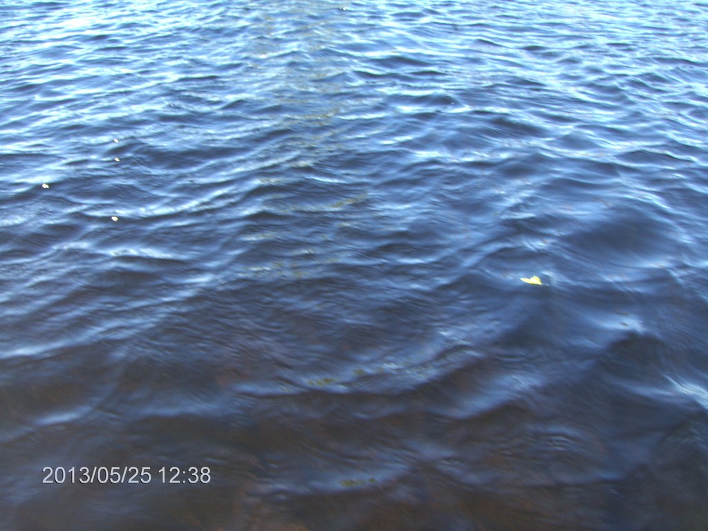 Christopher Greaves MinesingWetlands_HPIM5747.JPG
