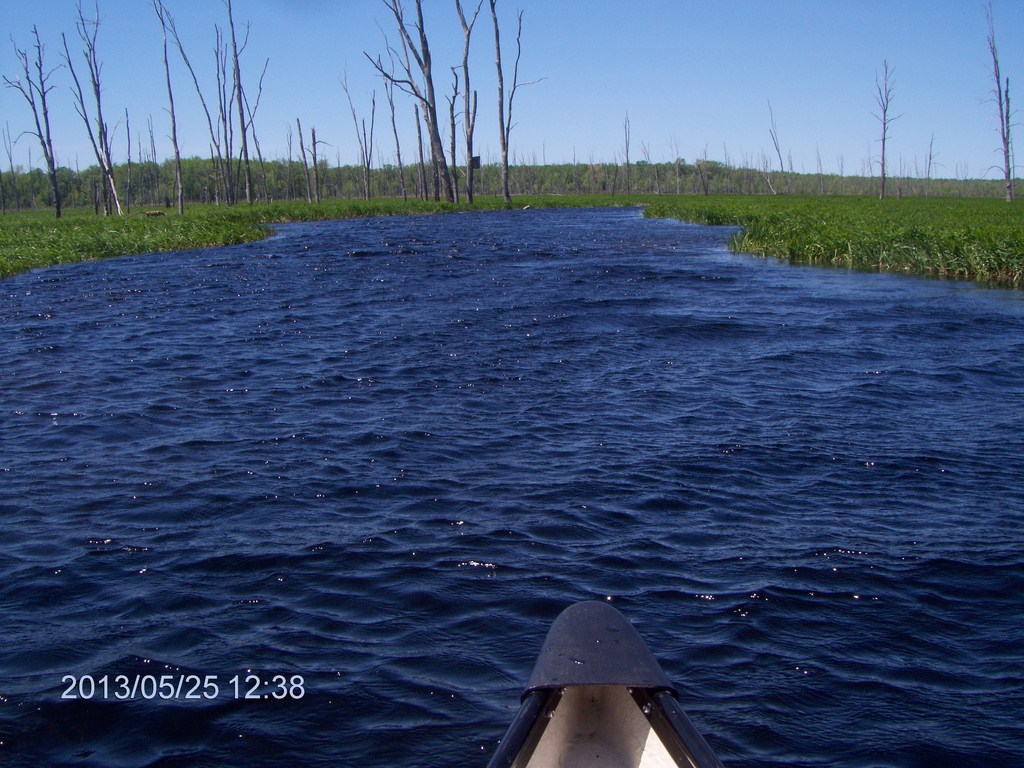 Christopher Greaves MinesingWetlands_HPIM5748.JPG