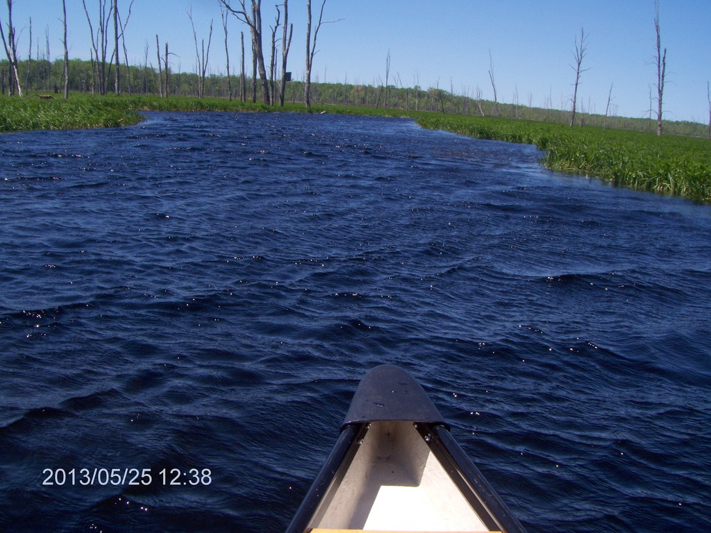 Christopher Greaves MinesingWetlands_HPIM5749.JPG