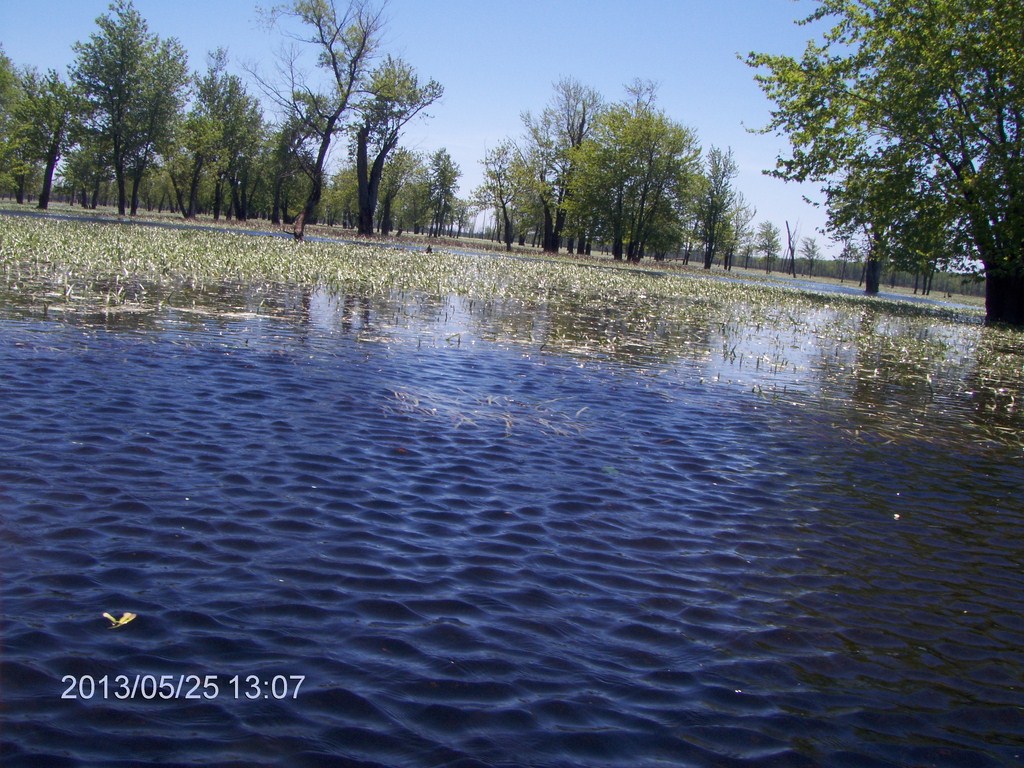 Christopher Greaves MinesingWetlands_HPIM5753.JPG