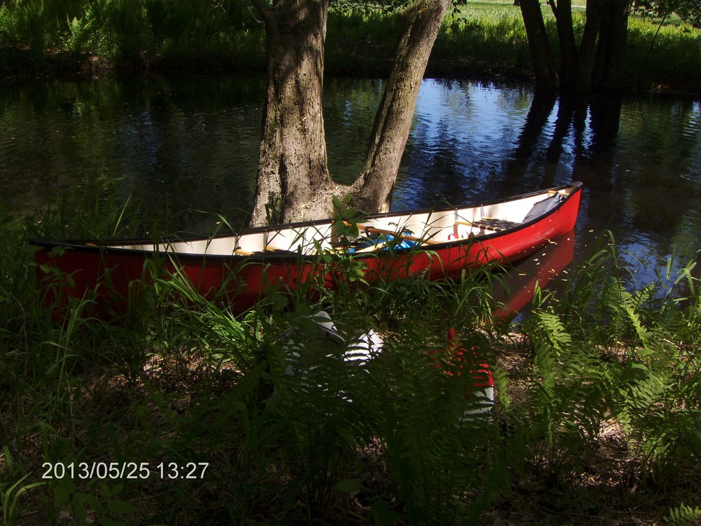 Christopher Greaves MinesingWetlands_HPIM5757.JPG