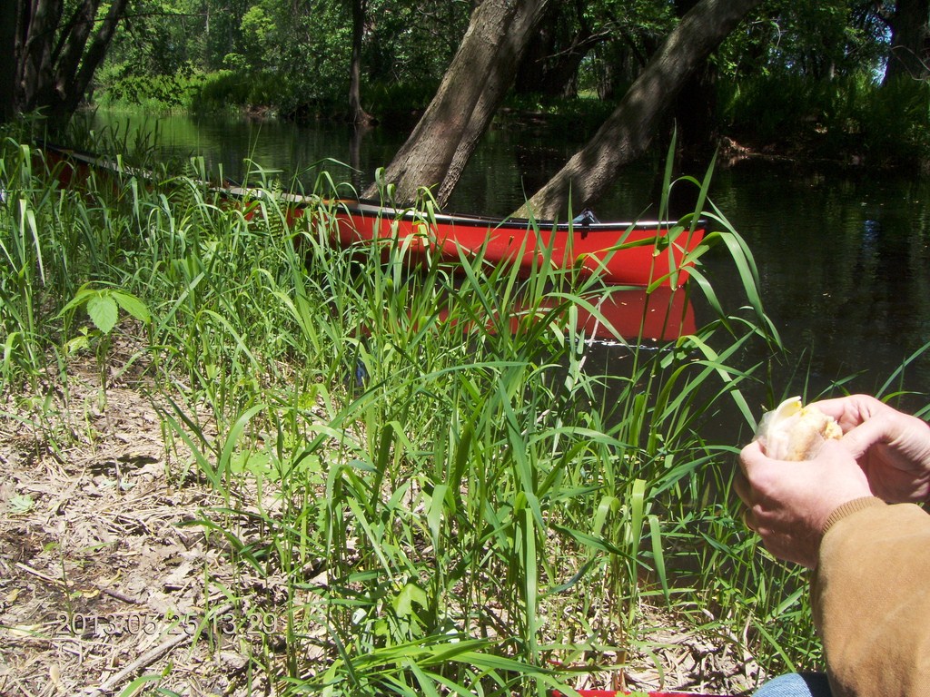 Christopher Greaves MinesingWetlands_HPIM5759.JPG