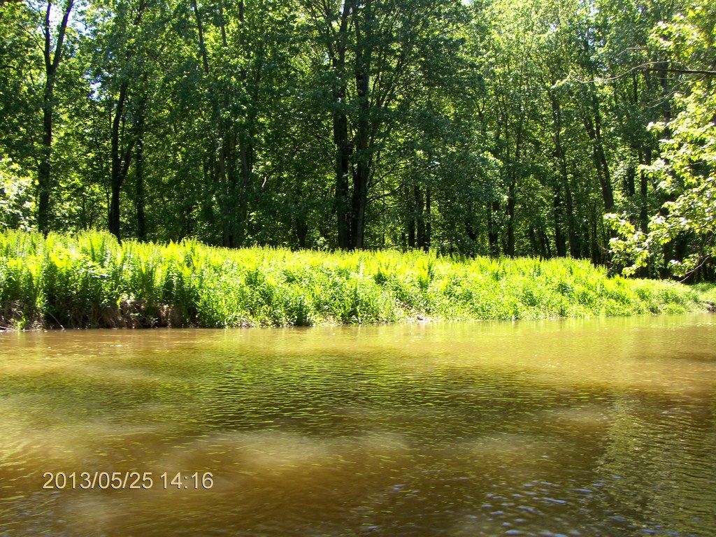Christopher Greaves MinesingWetlands_HPIM5767.JPG