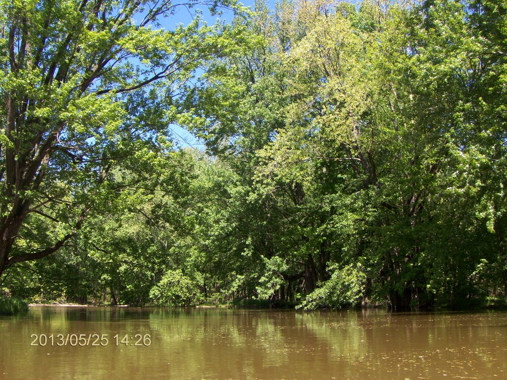 Christopher Greaves MinesingWetlands_HPIM5769.JPG