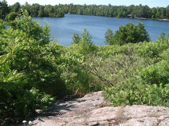 Christopher Greaves SixMileLake_GEDC1957.JPG