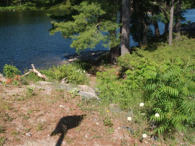 Christopher Greaves SixMileLake_GEDC1963.JPG