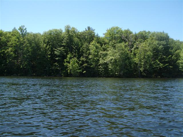 Christopher Greaves SixMileLake_GEDC1994.JPG