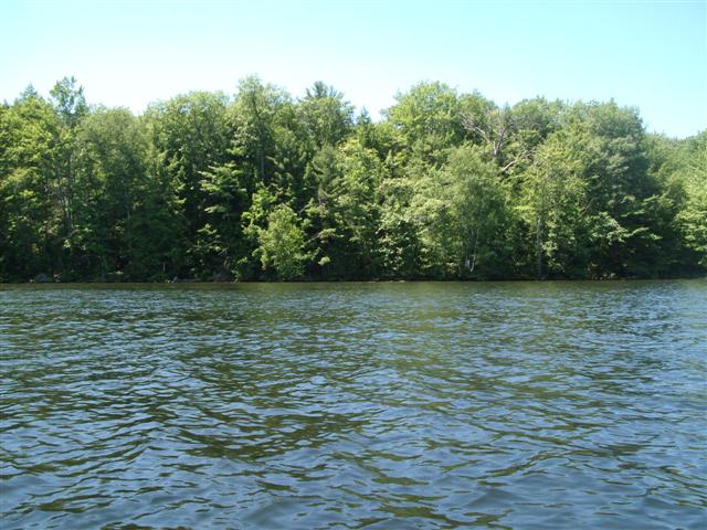 Christopher Greaves SixMileLake_GEDC1995.JPG