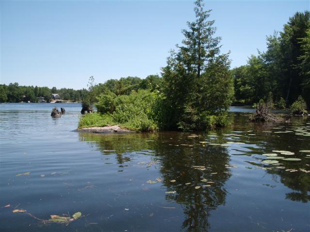 Christopher Greaves SixMileLake_GEDC1997.JPG
