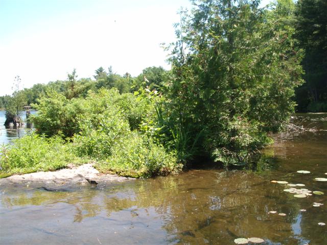 Christopher Greaves SixMileLake_GEDC1998.JPG