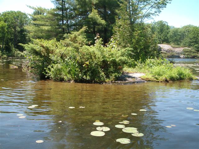 Christopher Greaves SixMileLake_GEDC2000.JPG