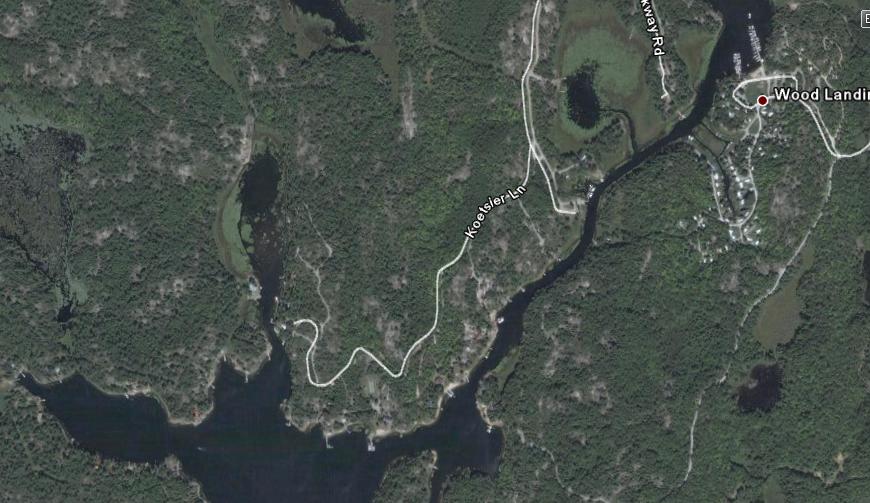 Christopher Greaves Woodlanding_004.JPG